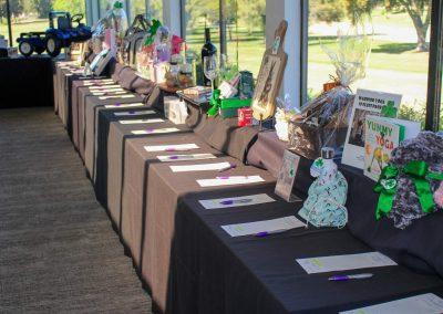 Danielle's Gift - St. Patricks Fundraiser 2026